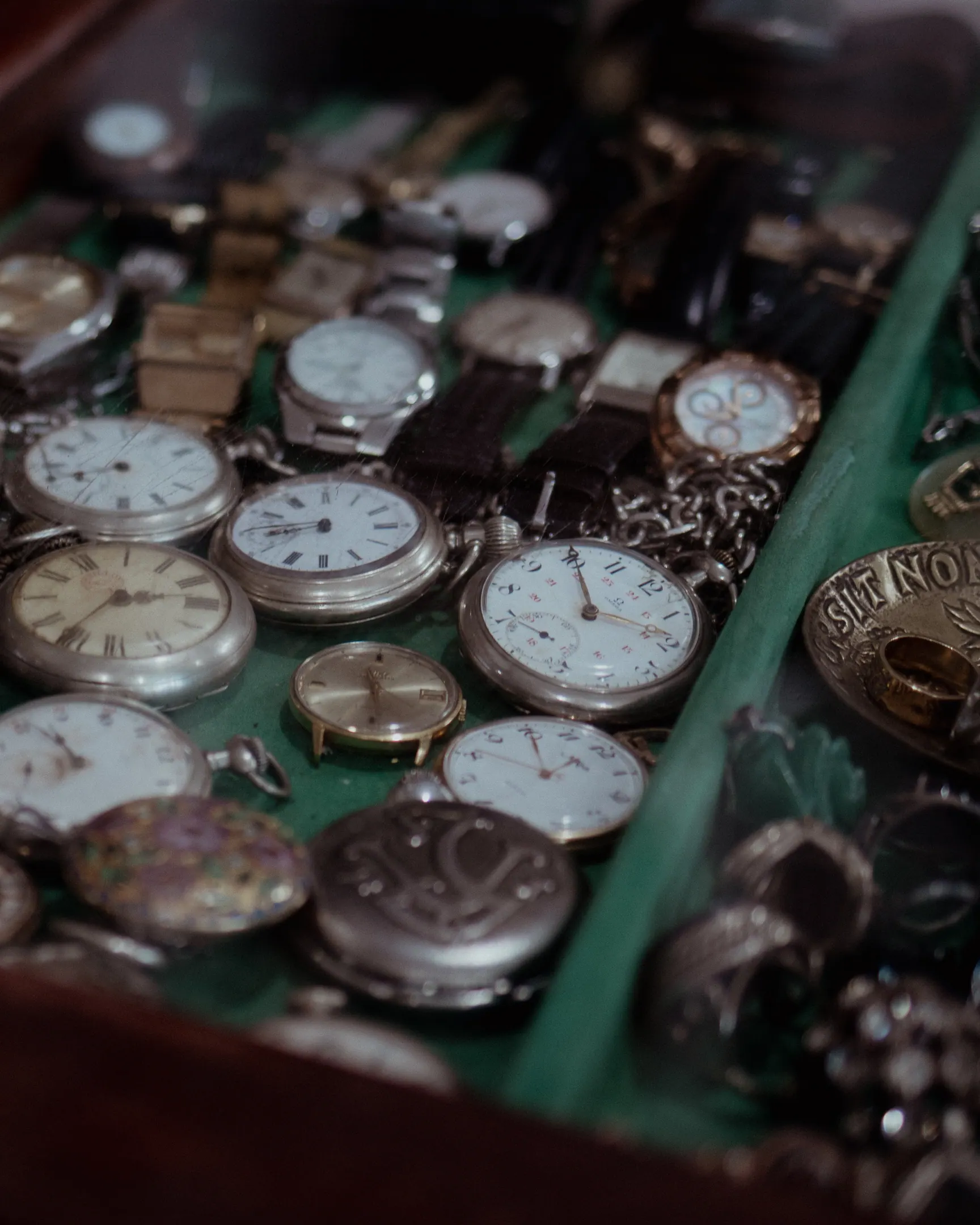 Vitrine de madeira aberta com dezenas de relógios de bolso de tampa branca sobre feltro verde