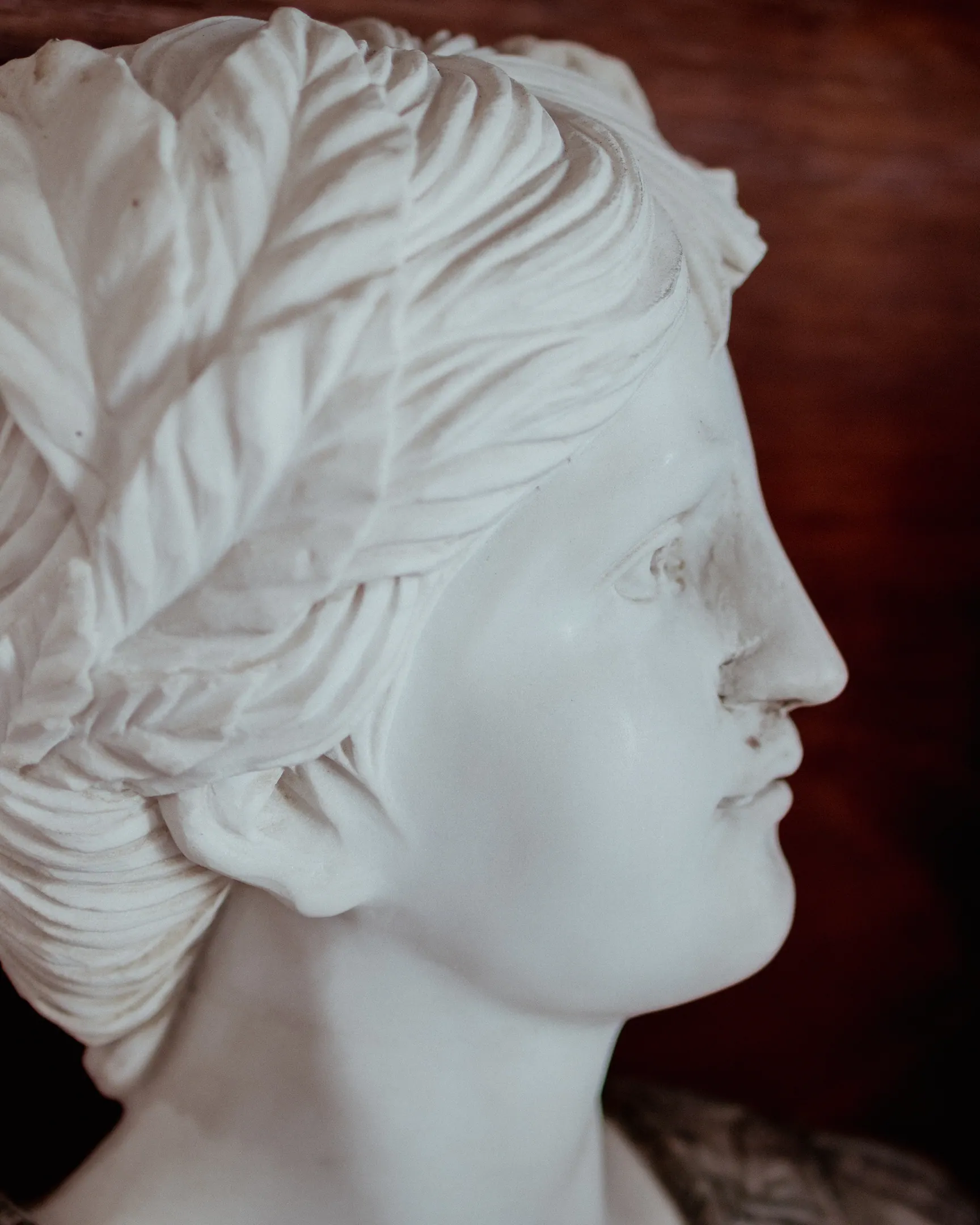 Busto de mármore branco de perfil, cabeça com turbante esculpido, contra uma parede de madeira escura