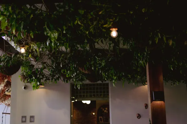 Entrada do salão vista de baixo, com o teto tomado por folhagem e um vão em arco ao fundo