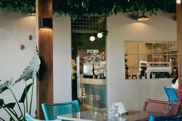 O balcão do café visto do salão, entre plantas e cadeiras turquesa