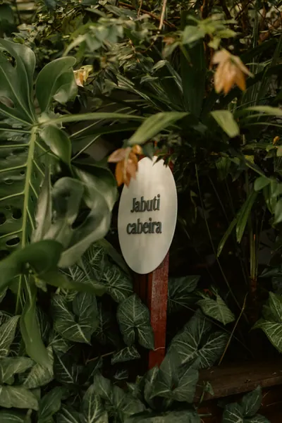 Placa branca escrita Jabuticabeira, fincada entre as folhas do jardim